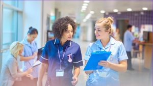 The Best Bachelor of Science in Nursing Programs for 2024